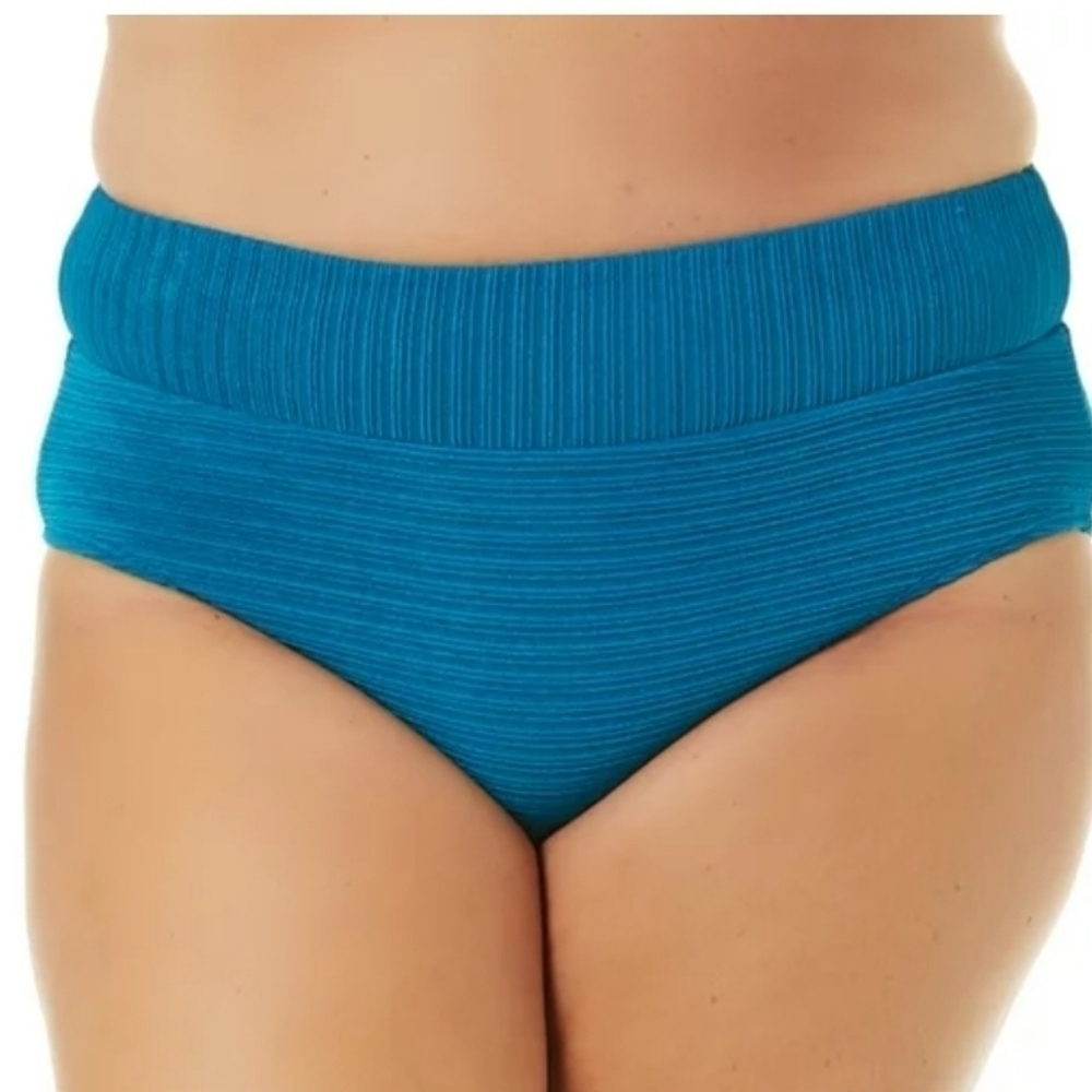 Time and Tru High Waist Plus Size Verigated Bikini Bottoms NWT Size 2X